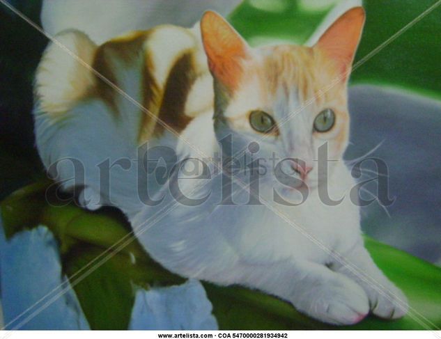 El Reposo del gato Oil Canvas Animals