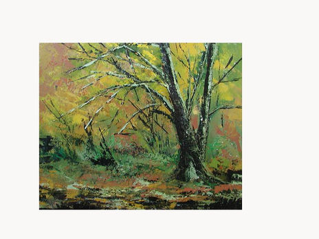 Paisaje