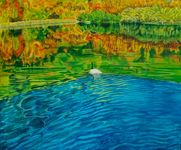 "LA SOLEDAD DEL CISNE"