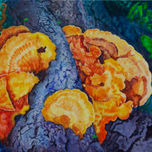 patagonia thumbnail 1