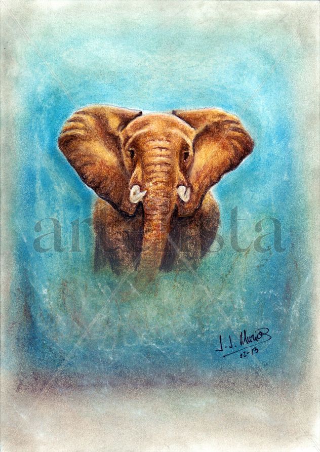 Elefant