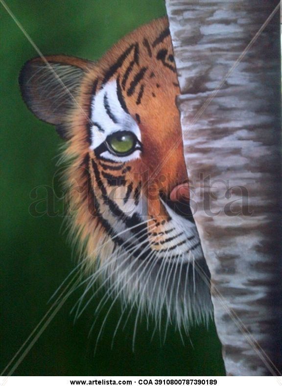 tigre escondido