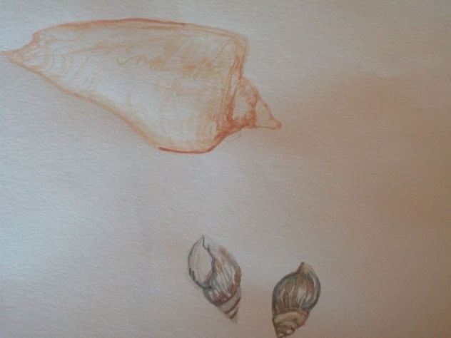 caracoles