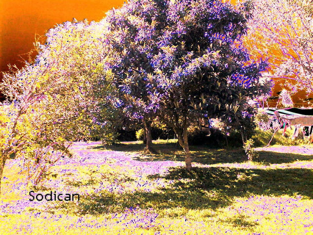 EL EDEN