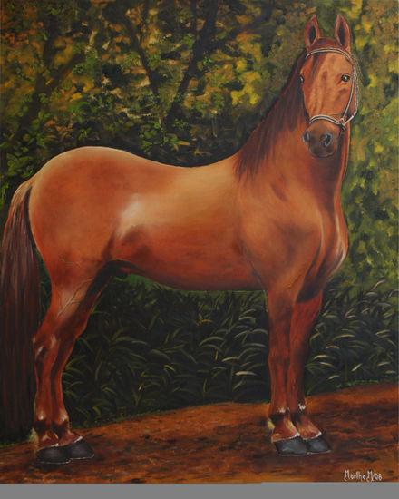 Caballo castaño Oil Canvas Animals