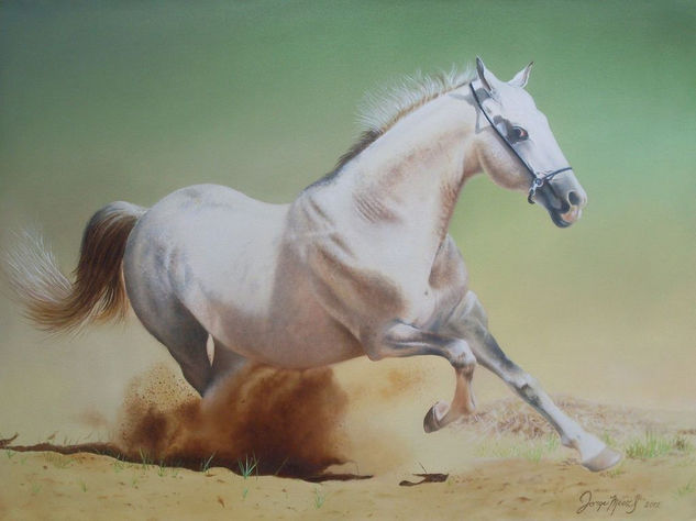 Caballo blanco Oil Canvas Animals