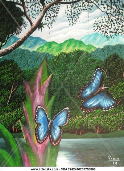 mariposas de costa rica Óleo Lienzo Paisaje