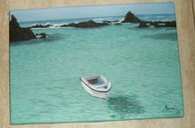 Isla de Lobos Oil Canvas Marine Painting