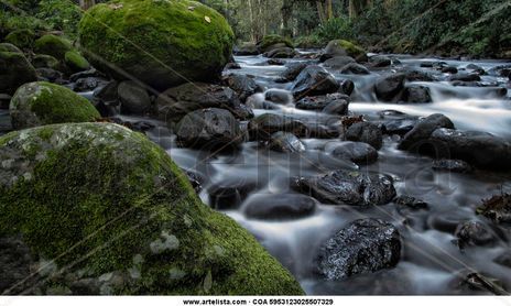 Rivers