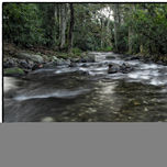 Rivers thumbnail 2