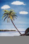 playa tropical