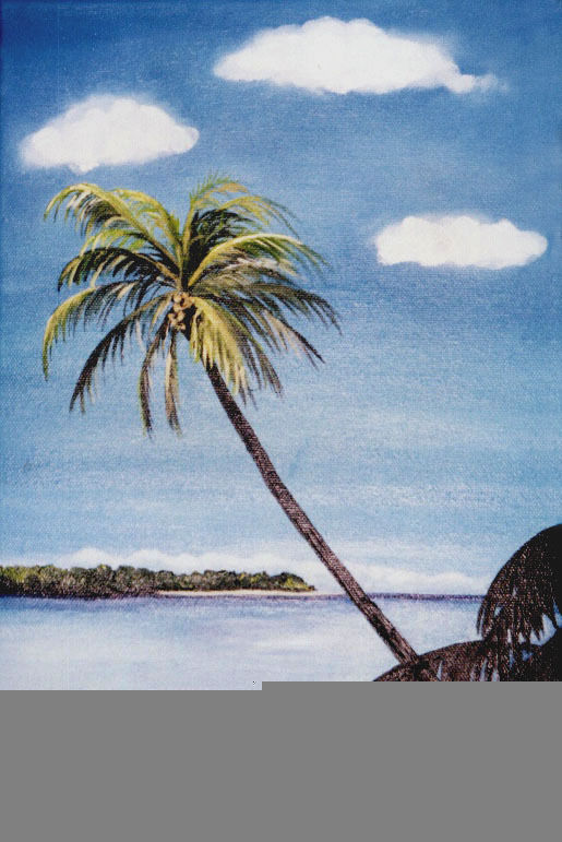 playa tropical