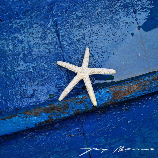 Star in blue Nature Color (Digital)