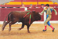 Jugando a toros (El Fandi)