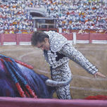 Toros thumbnail 1