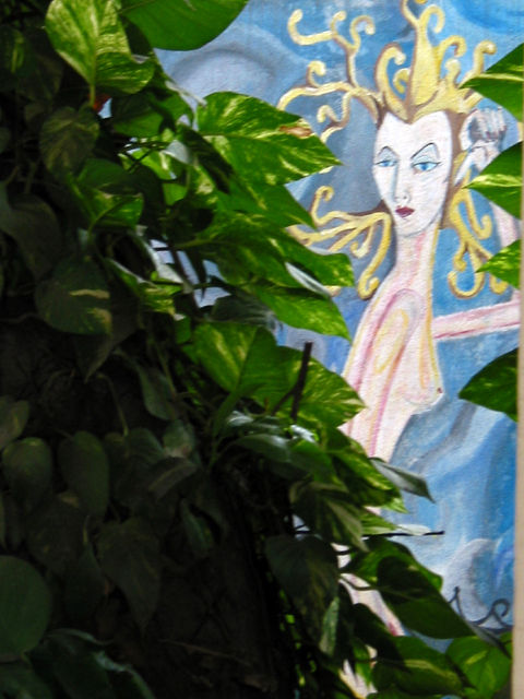 Medusa2