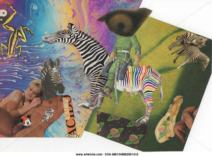El viaje de la Zebra