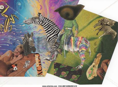 El viaje de la Zebra