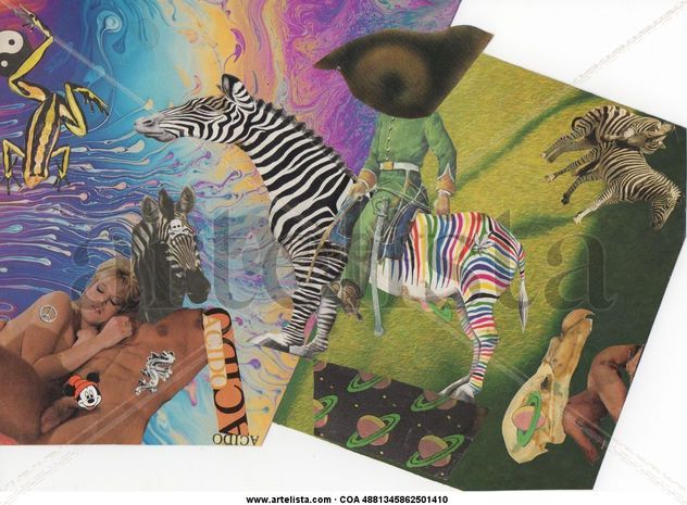 El viaje de la Zebra