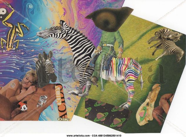 El viaje de la Zebra Papel Animales