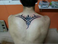 tribal