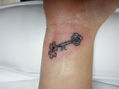 el puzzle y la llave