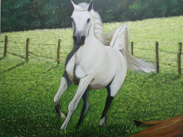 caballo blanco Acrylic Canvas Landscaping