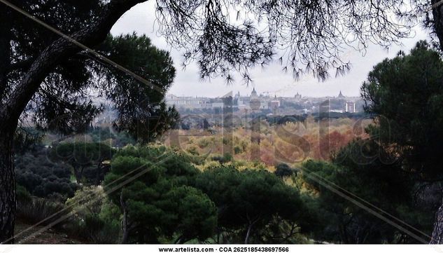 Panorámica de Madrid Naturaleza Color (Digital)