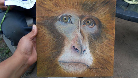 Mandril