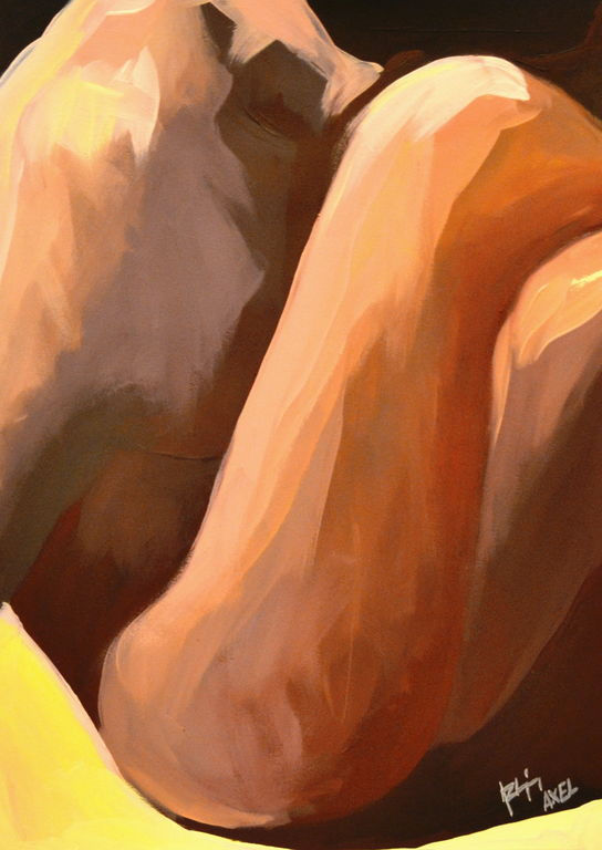 torso