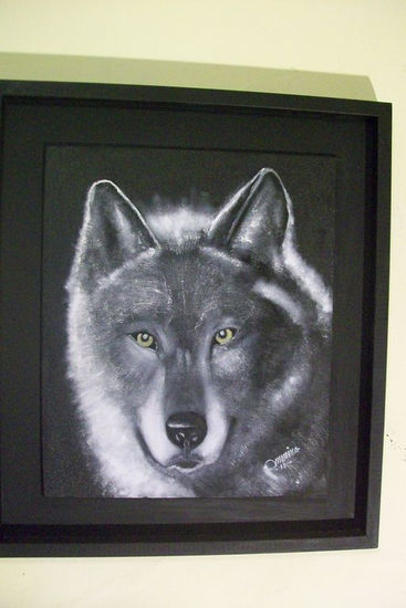 lobo Mixed media Canvas Animals