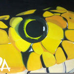 PAPEL thumbnail 2