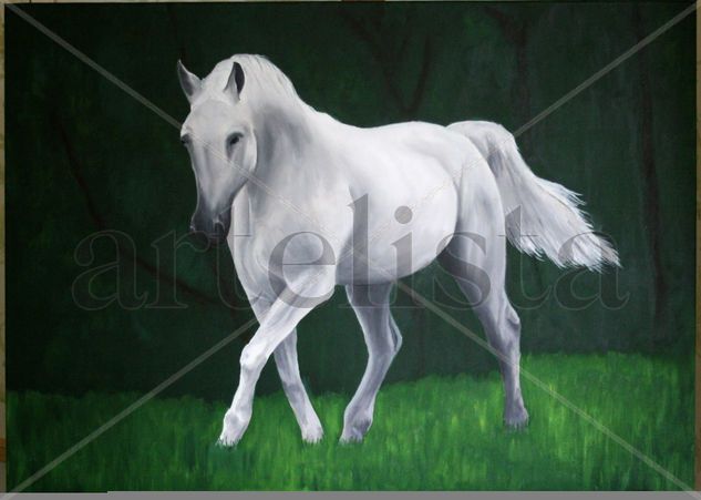 Caballo Árabe Oil Canvas Animals