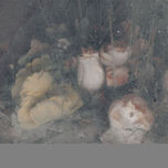 Memento mori thumbnail 1