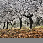 DecoHuelva thumbnail 2