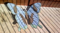 mariposa