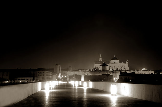 PUENTE ROMANO Otras temáticas Blanco y Negro (Digital)