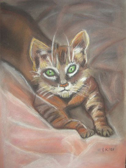 gato Pastel Papel Animales