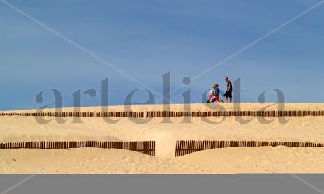Tarifa