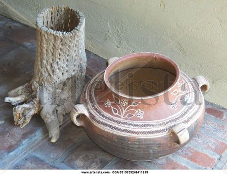 El cardon y la tinaja