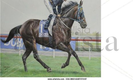 carreras de caballos Australianos
