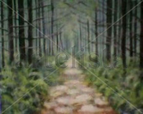 Caminho na floresta