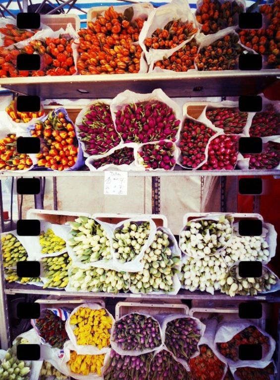 colores/colors