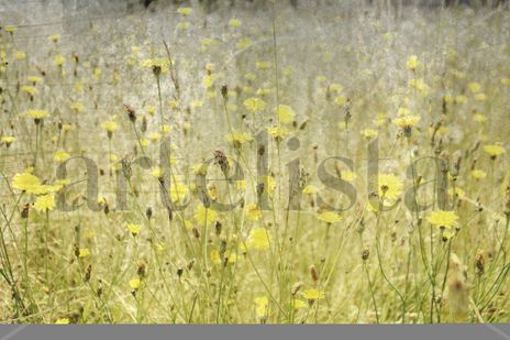 Tapiz de flores