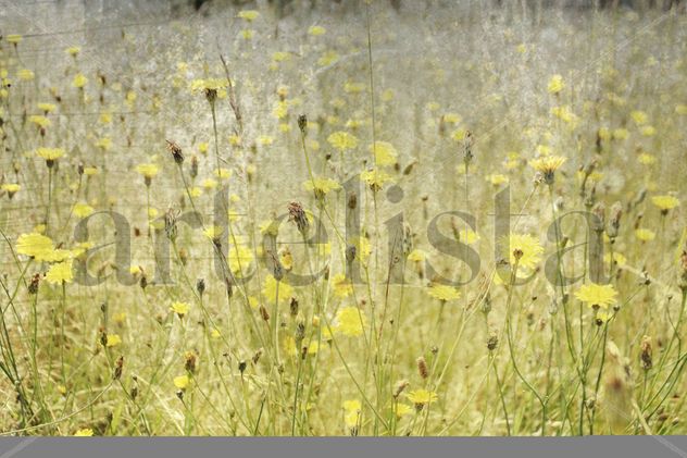 Tapiz de flores