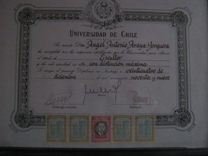 Titulo profesional...