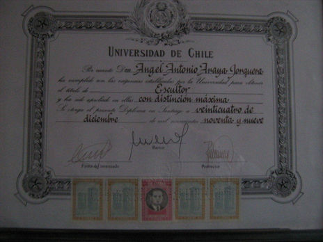 Titulo profesional...