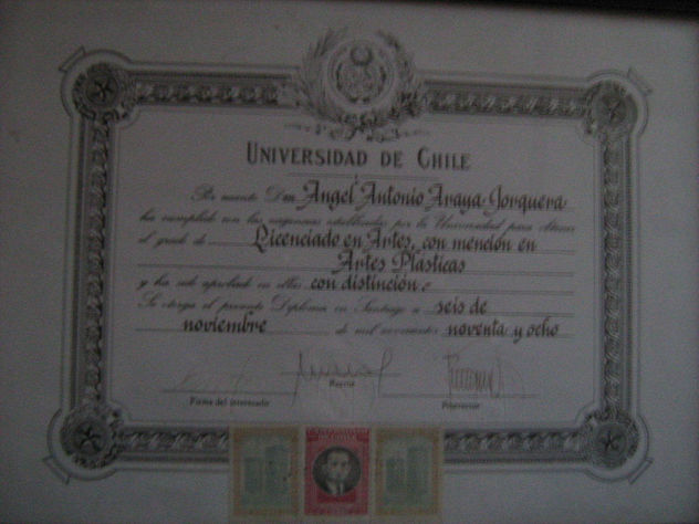 Licenciado en artes Plasticas con mención en artes plásticas.