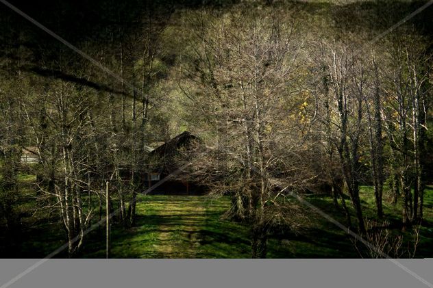 Lo que el bosque esconde