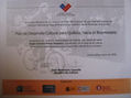 DIPLOMA POR PLAN DE DESARROLLO CULTURAL PARA QUILLOTA